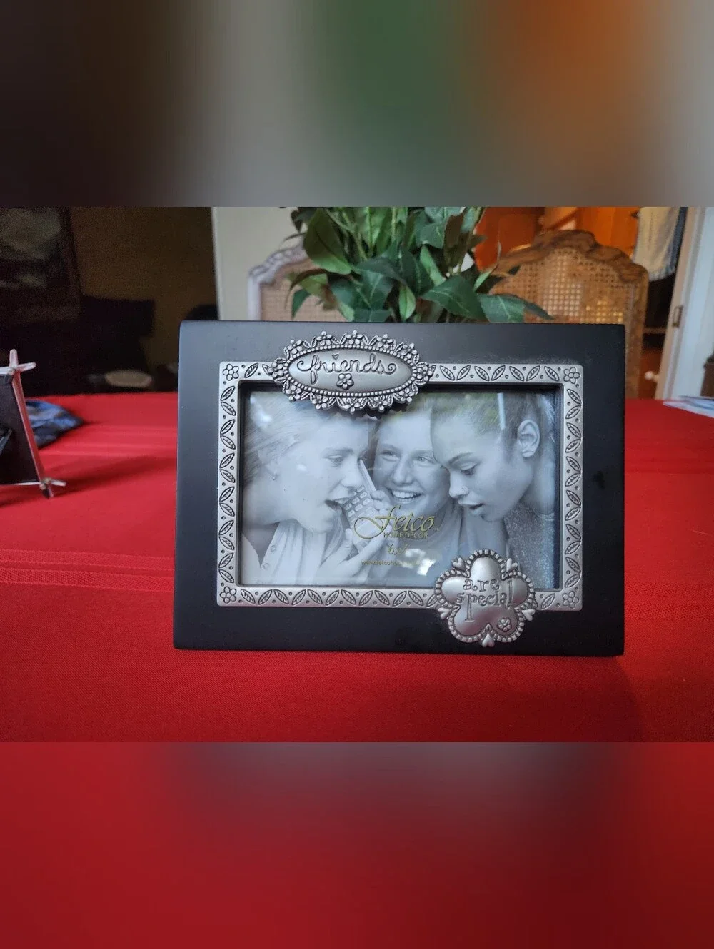 Friends Decorative Black Picture Frame with Silver Accents